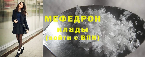 прущие грибы Абаза