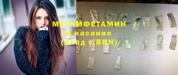 прущие грибы Абаза