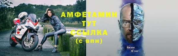 прущие грибы Абаза