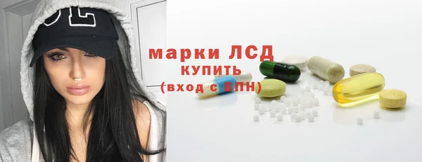 прущие грибы Абаза