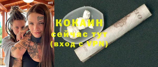 прущие грибы Абаза