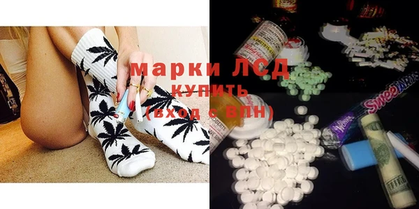 прущие грибы Абаза