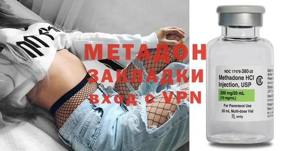 прущие грибы Абаза