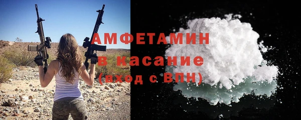прущие грибы Абаза