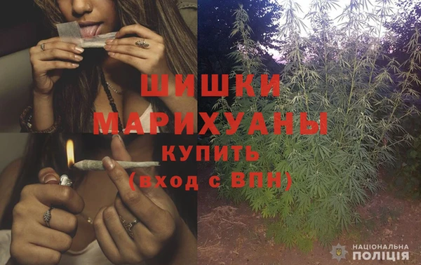 прущие грибы Абаза