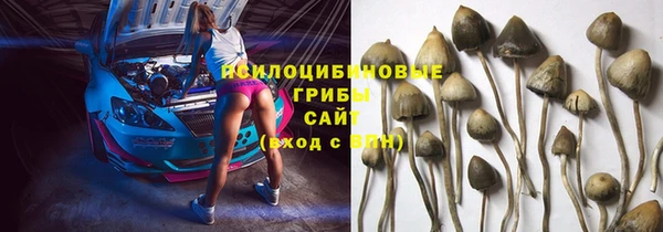 прущие грибы Абаза