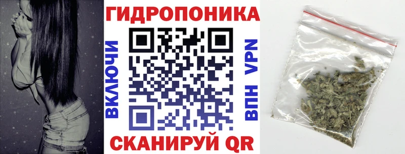 где можно купить наркотик  Красновишерск  Конопля Amnesia 